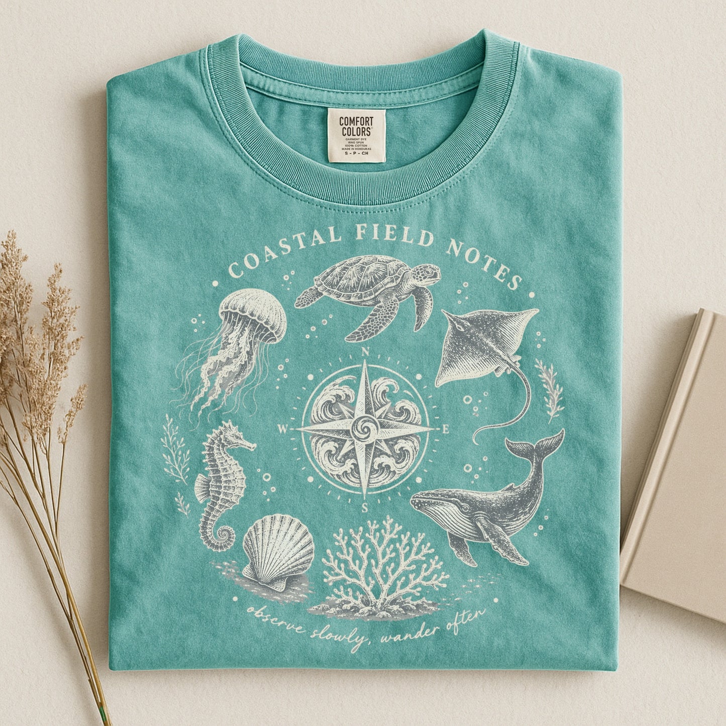 Coastal Field Notes